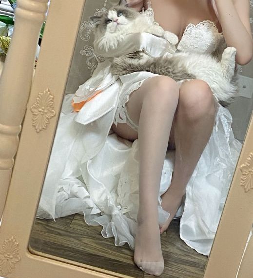 月光宝盒在线观看免费版下载全集