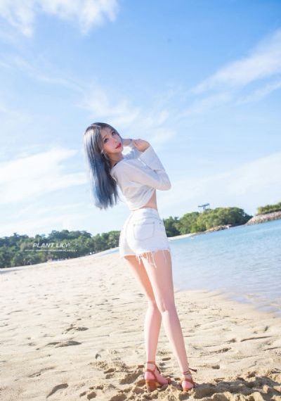 陆战之王电视剧免费观看完整版