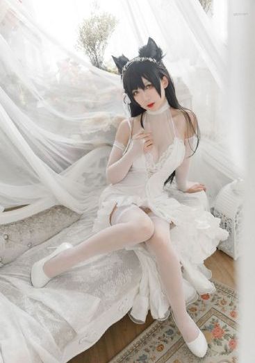 父辈的荣耀电视剧免费观看完整版
